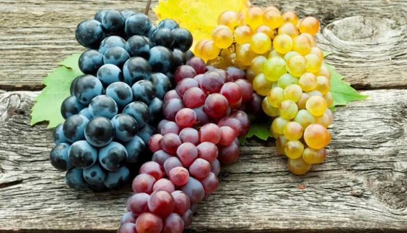 برای محافظت از پوست خود انگور بخورید